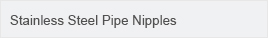Stainless Steel Pipe Nipples.jpg